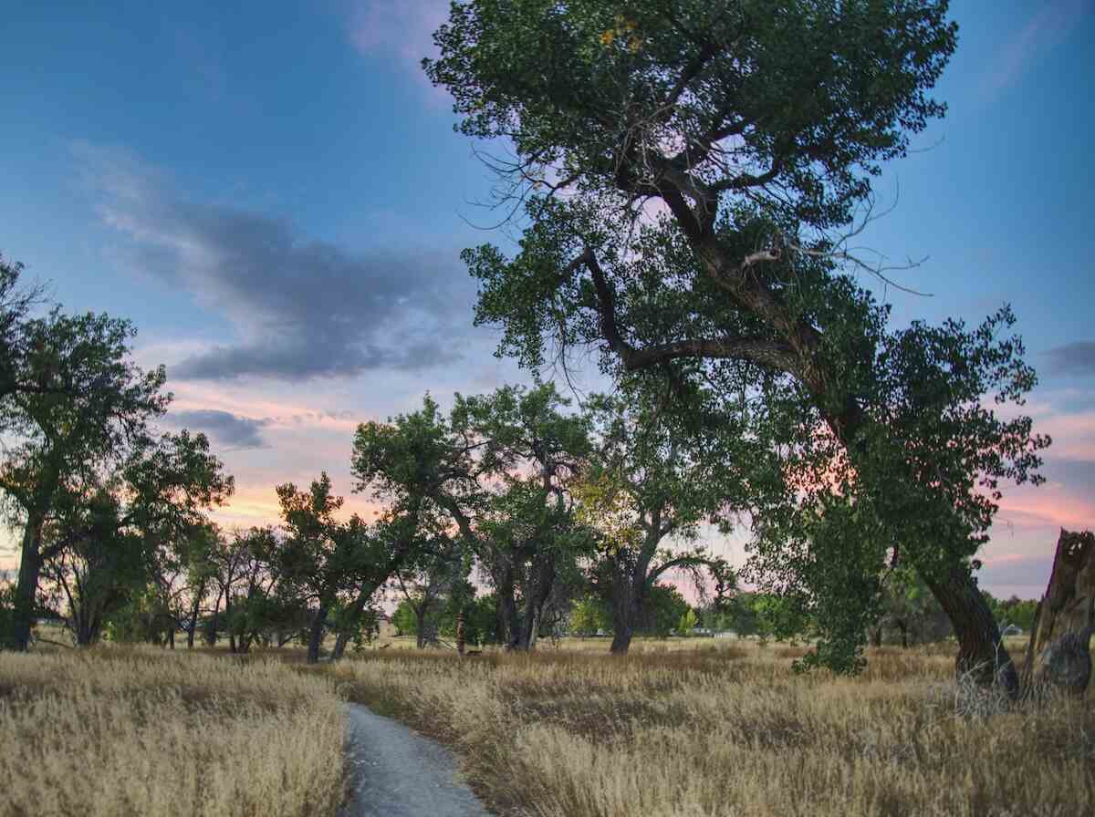 Gambling-Addiction-Help-Near-Me-Aurora-Gamblers-Hotline