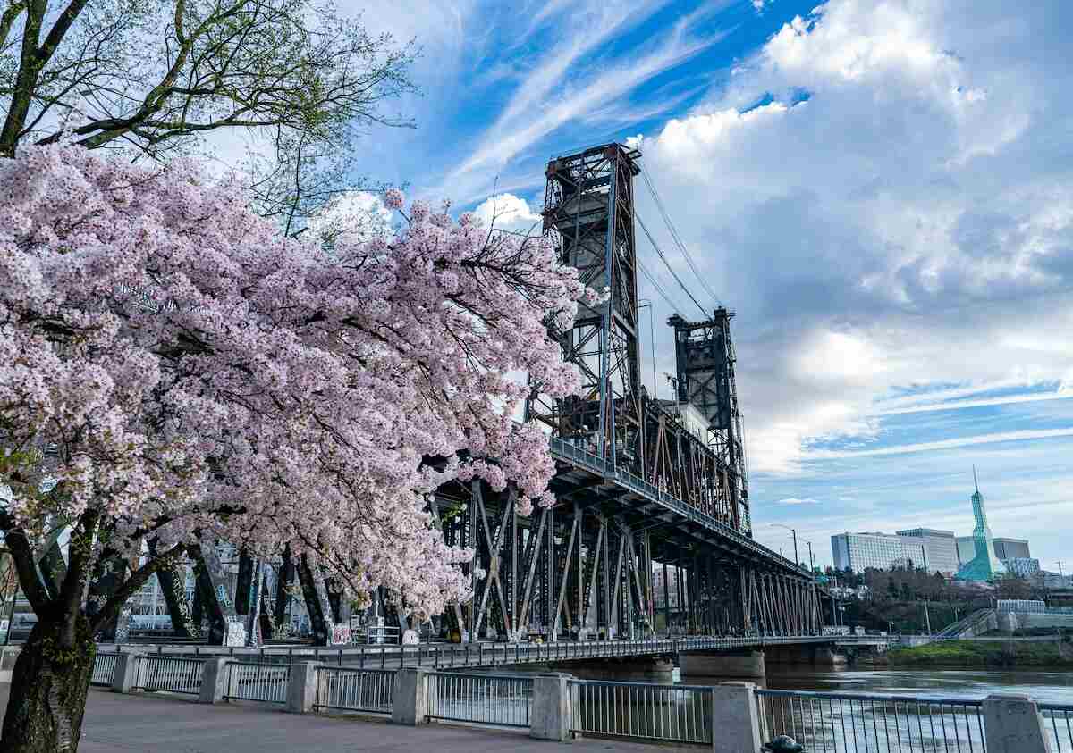 Gambling Help Near Me Portland Problem Gamblers Hotline