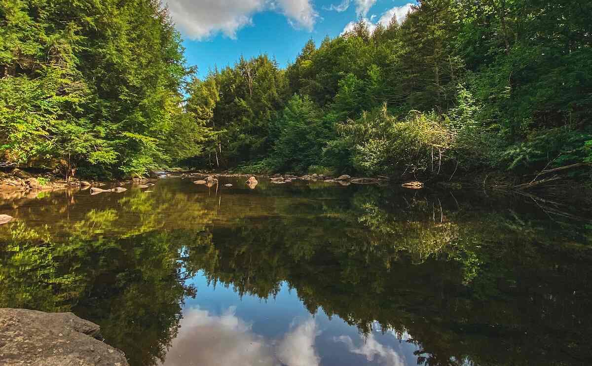 Problem Gambling Treatment Vermont Gamblers Help Online