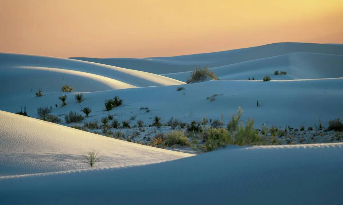 Pornography Addiction Treatment Therapy New Mexico